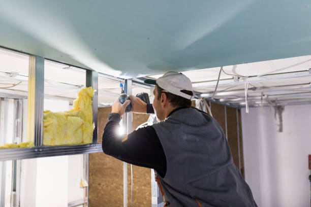 Best Insulation for Specific Applications in Lake Holm, WA