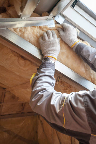 Best Spray Foam Insulation in Lake Holm, WA